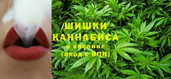 прущие грибы Алзамай