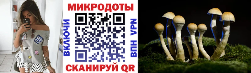 Галлюциногенные грибы Magic Shrooms  Удачный 